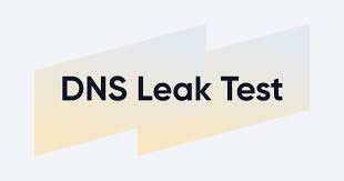 DNS Leak Test